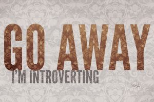 Go Away Im Introverting