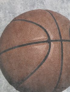Sports Ball – Basketball