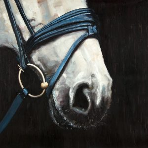 HORSE WITH HARNESS