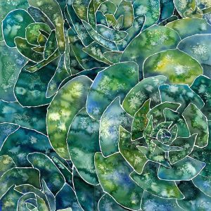 ABSTRACT SUCCULENTS