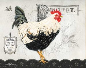 Poultry Farm II