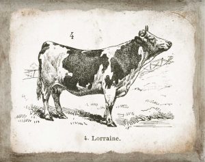 French Cow III