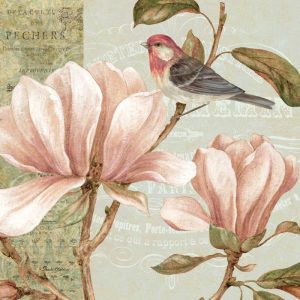 Magnolia Collage I