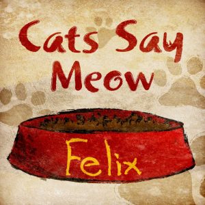 Cats Say Meow