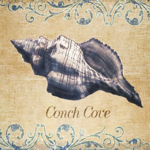 Conch Cove