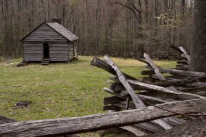 TN, Great Smoky Mts Abandoned cabin and fence