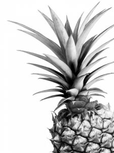 Pineapple – BW