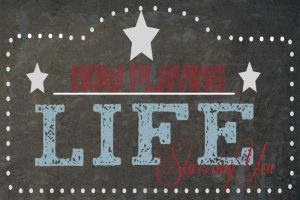 Now Playing Life