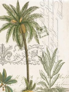 Palm Rectangle 1