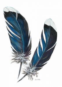 Feather Study 4