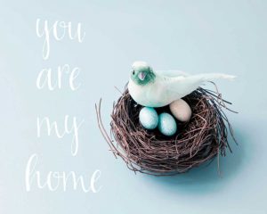 You Are My Home Love Birds