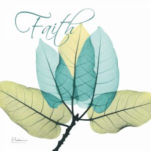 Faith Ficus Burkey