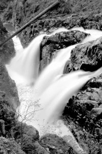Sol Duc Falls I BW