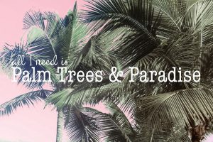 Palm Trees and Paradise