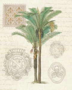 Vintage Palm Study II