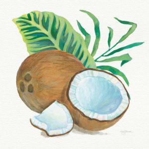 Coconut Palm II