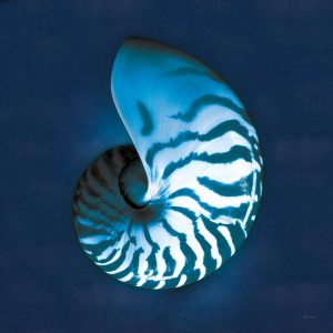 Cyanotype Sea I