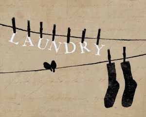 Birds on a Wire – Laundry