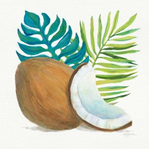 Coconut Palm IV
