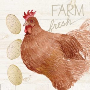 Life on the Farm Chicken II