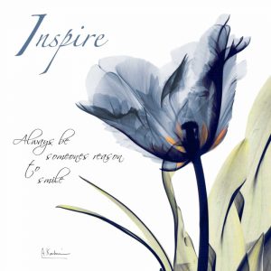 Tulip Inspire