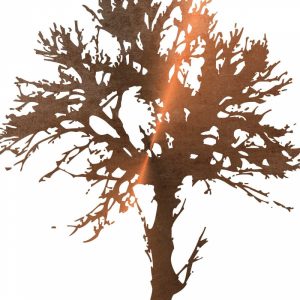 Tree of Wisdom 2