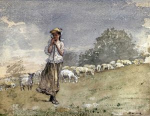 Tending Sheep, Houghton Farm