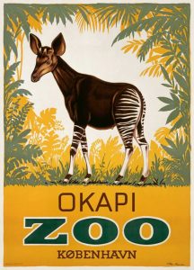København Zoo/Okapi