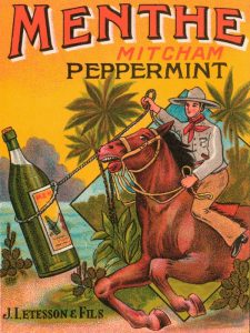 Menthe Peppermint