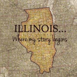 Story Illinois