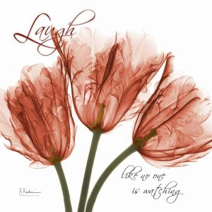 Royal Red Tulip – Laugh