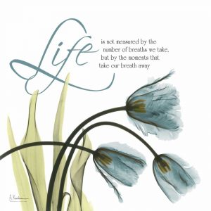 Swaying Tulips  Blue – Life