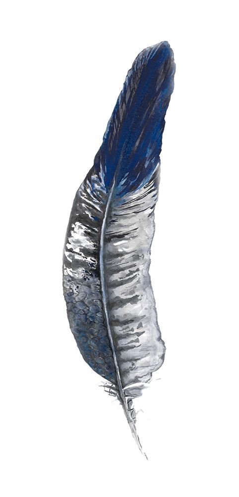 Royal Blue Tip Feather II