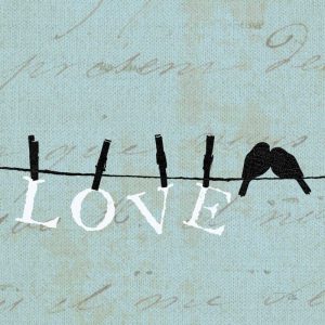 Birds on a Wire Square – Love