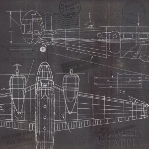 Plane Blueprint II