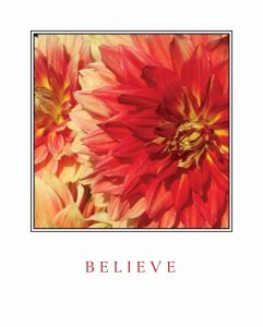 Believe Flowers