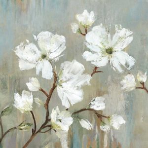 Sweetbay Magnolia I – Mini