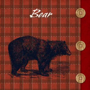 Flannel Bear