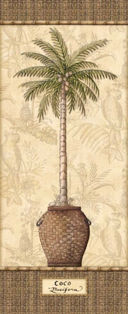 Botanical Palm III