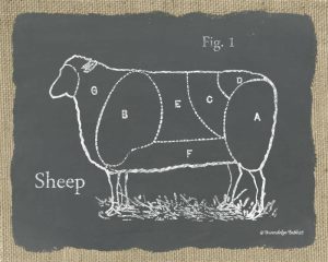 Sheep on Burlap