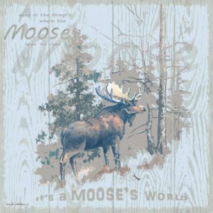 Mooses World Tan