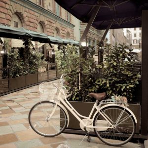 Firenze Bicycle