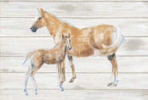 Horse and Colt on Wood