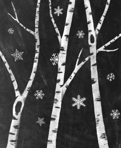 Snowy Birches III