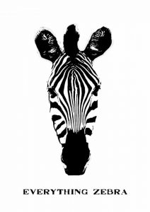 Everything is Zebra