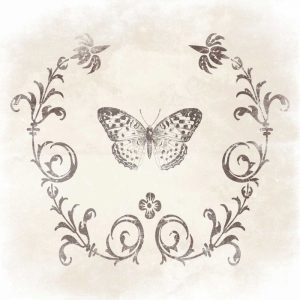 Stencil Butterfly
