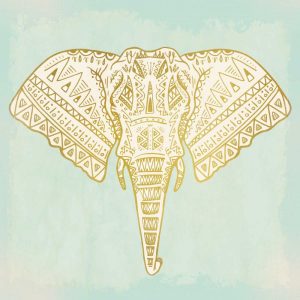 Native Elephant