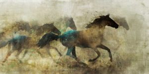 Horses, Wild And Free