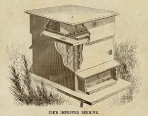 Ides Improved Beehive