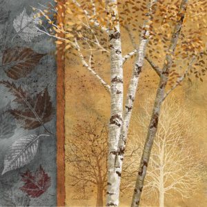 Birch Trees in Autumn I